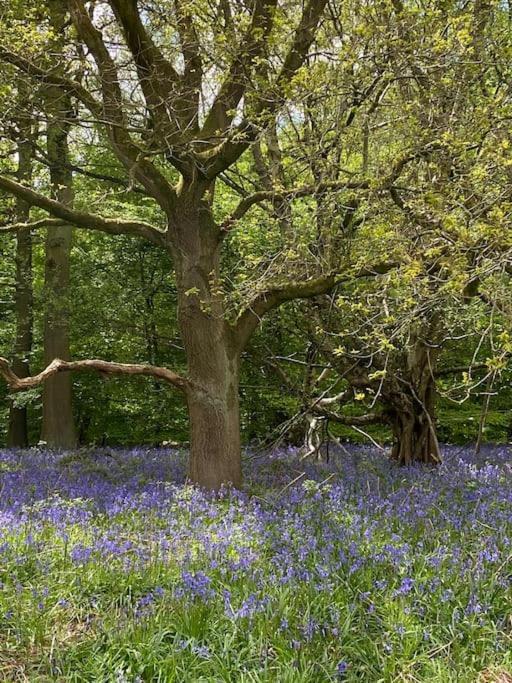 North Cottage Marlfields Hall, Stunning Location Adlington エクステリア 写真