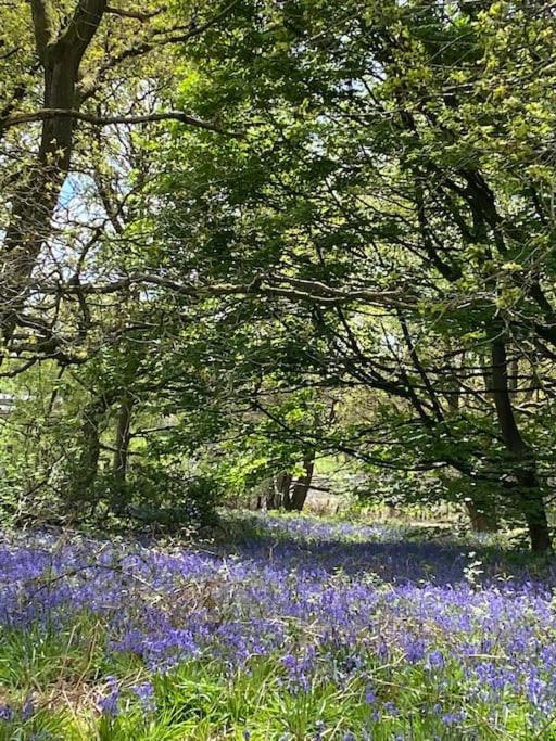North Cottage Marlfields Hall, Stunning Location Adlington エクステリア 写真
